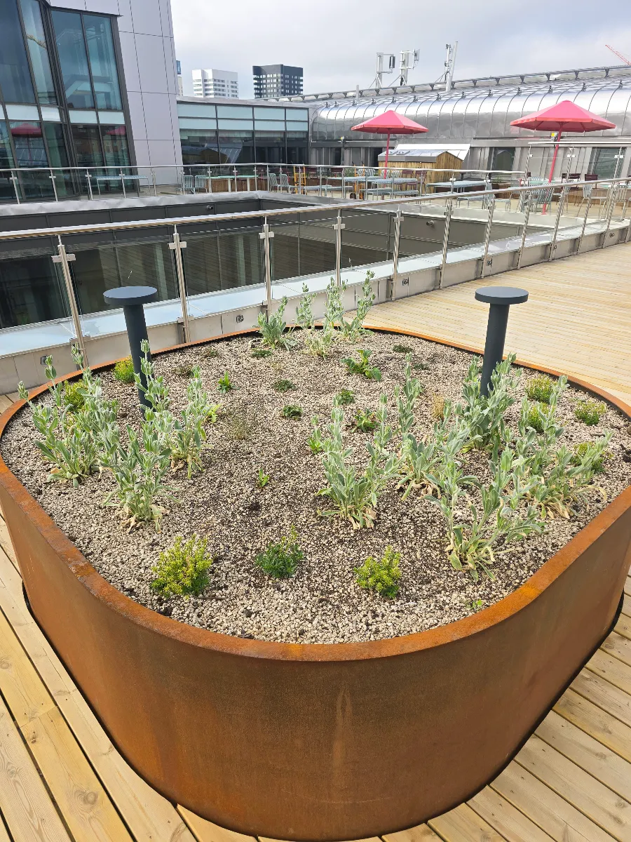 Entreprenad – arbete i fält 5