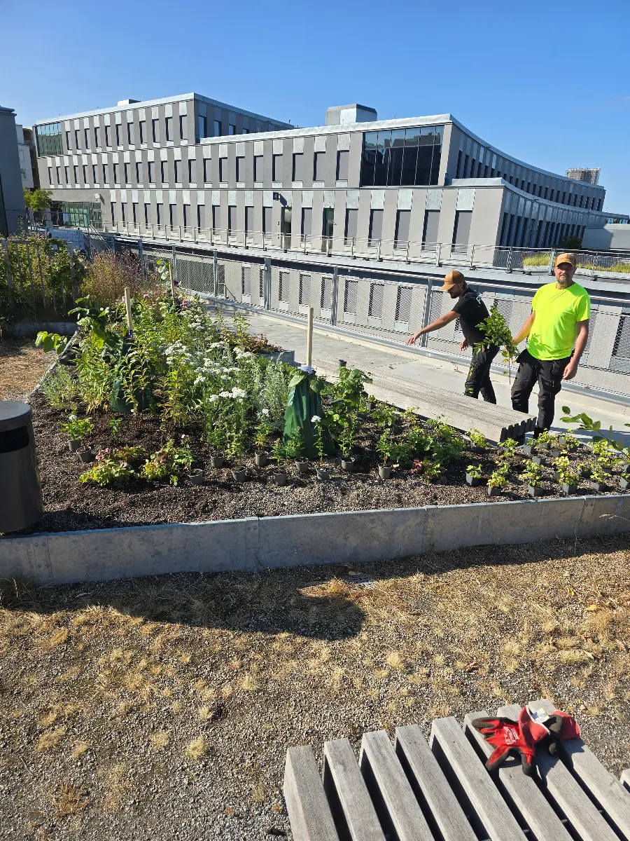 Entreprenad – arbete i fält 4